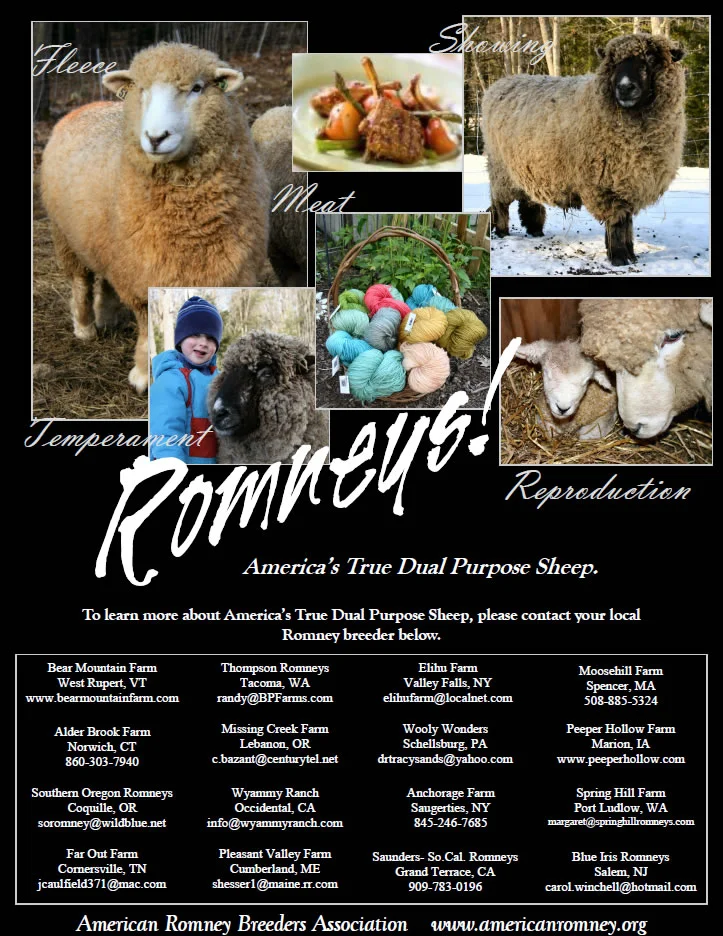 ARBA Shepherd Ad - Feb 2011