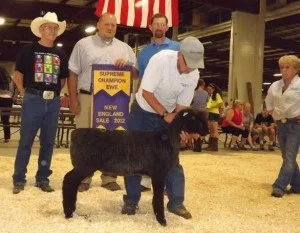 Supreme Champion Ewe Supreme Champion Ewe