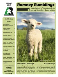 Ramblings Spring 2017