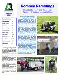 Ramblings Jan 2019