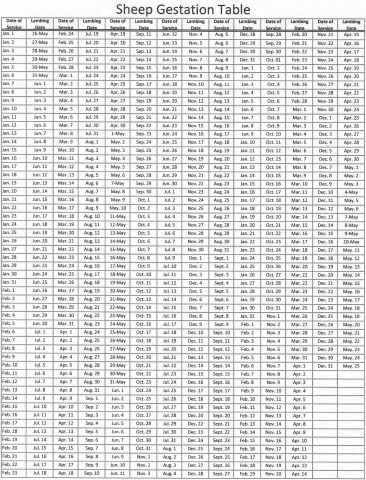 Lambing Chart - American Romney Breeders Association