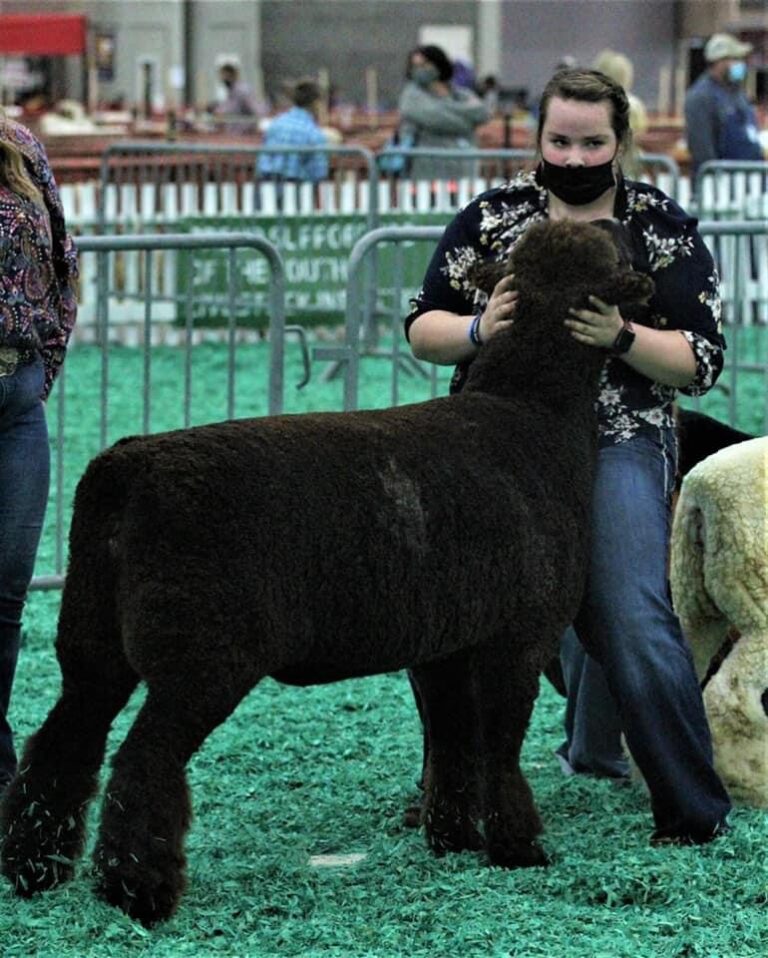 2020 NAILE Photos - American Romney Breeders Association