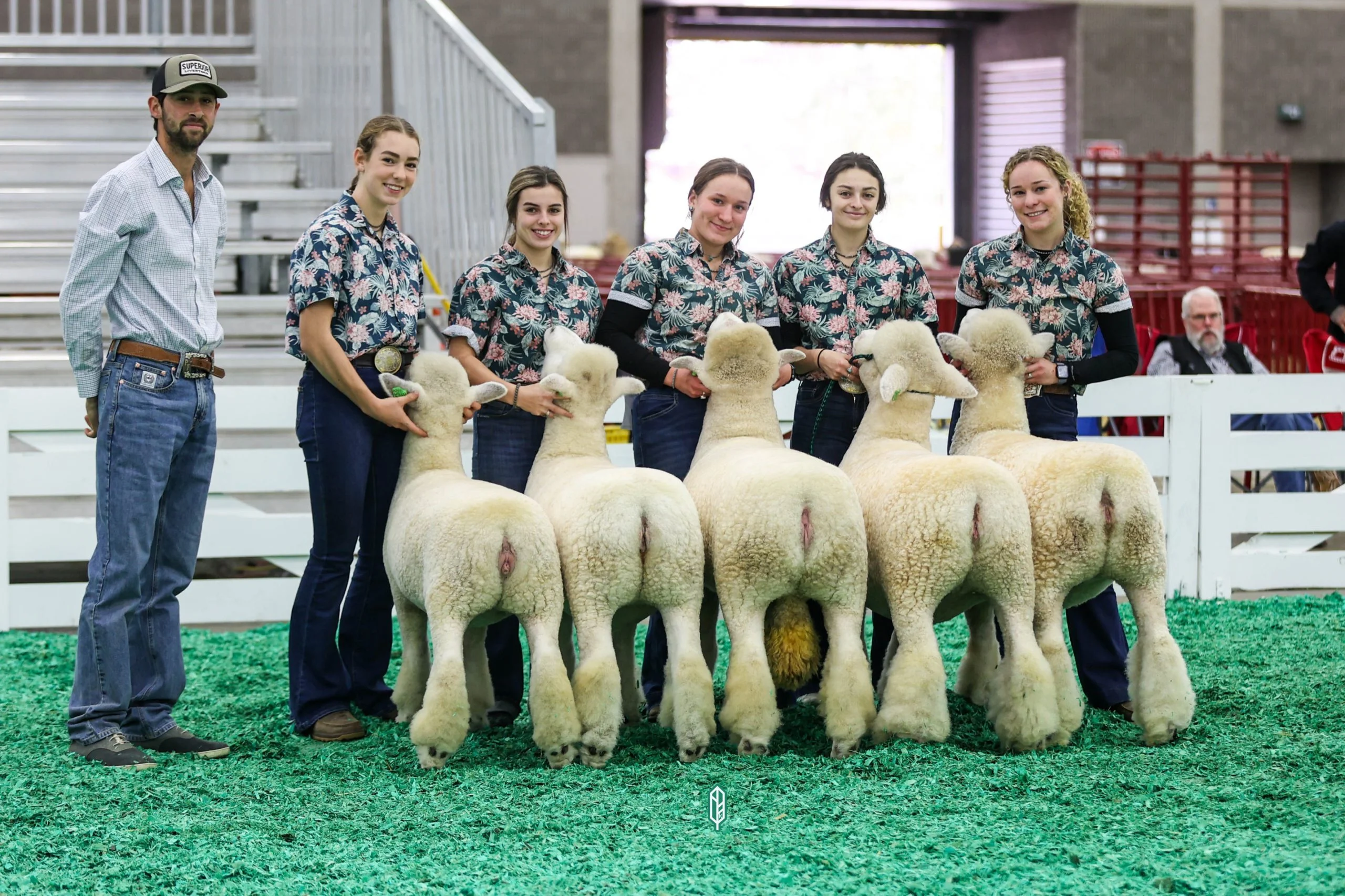 2023 National White Romney Show at NAILE
1st place white flock exhibited by Catherine Hromis of Winding Wicks Farm