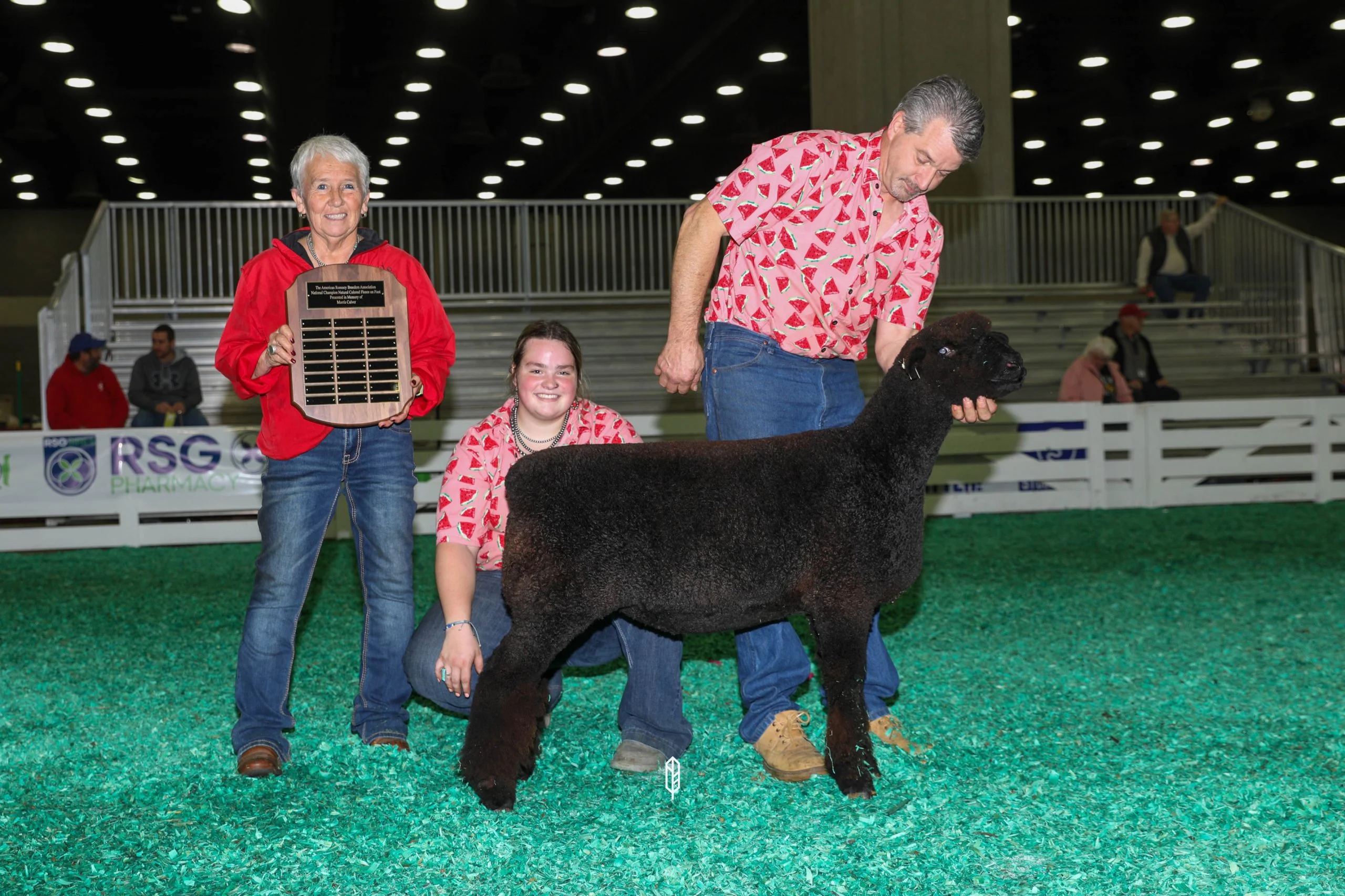 2023 National White Romney Show at NAILE
Best Fleeced Natural Colored Romney exhibited by Caitlin Plank