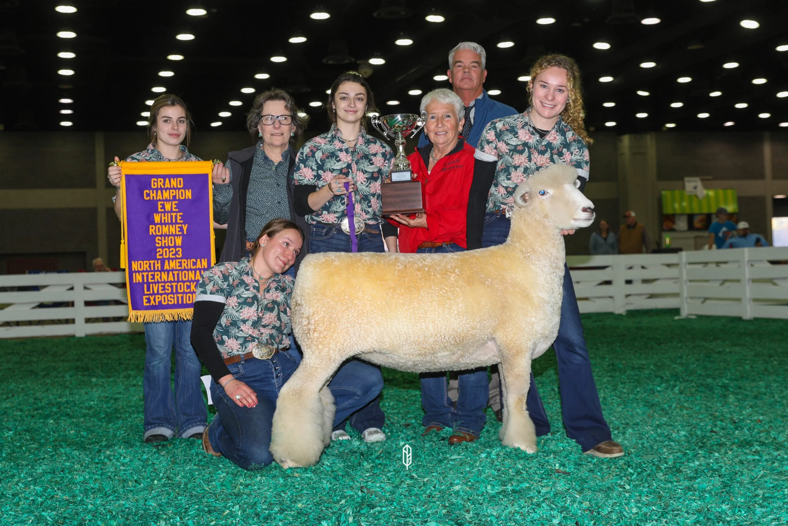 2023 National White Romney Show at NAILE
National Champion White Ewe exhibited by Catherine Hromis of Winding Wicks Farm