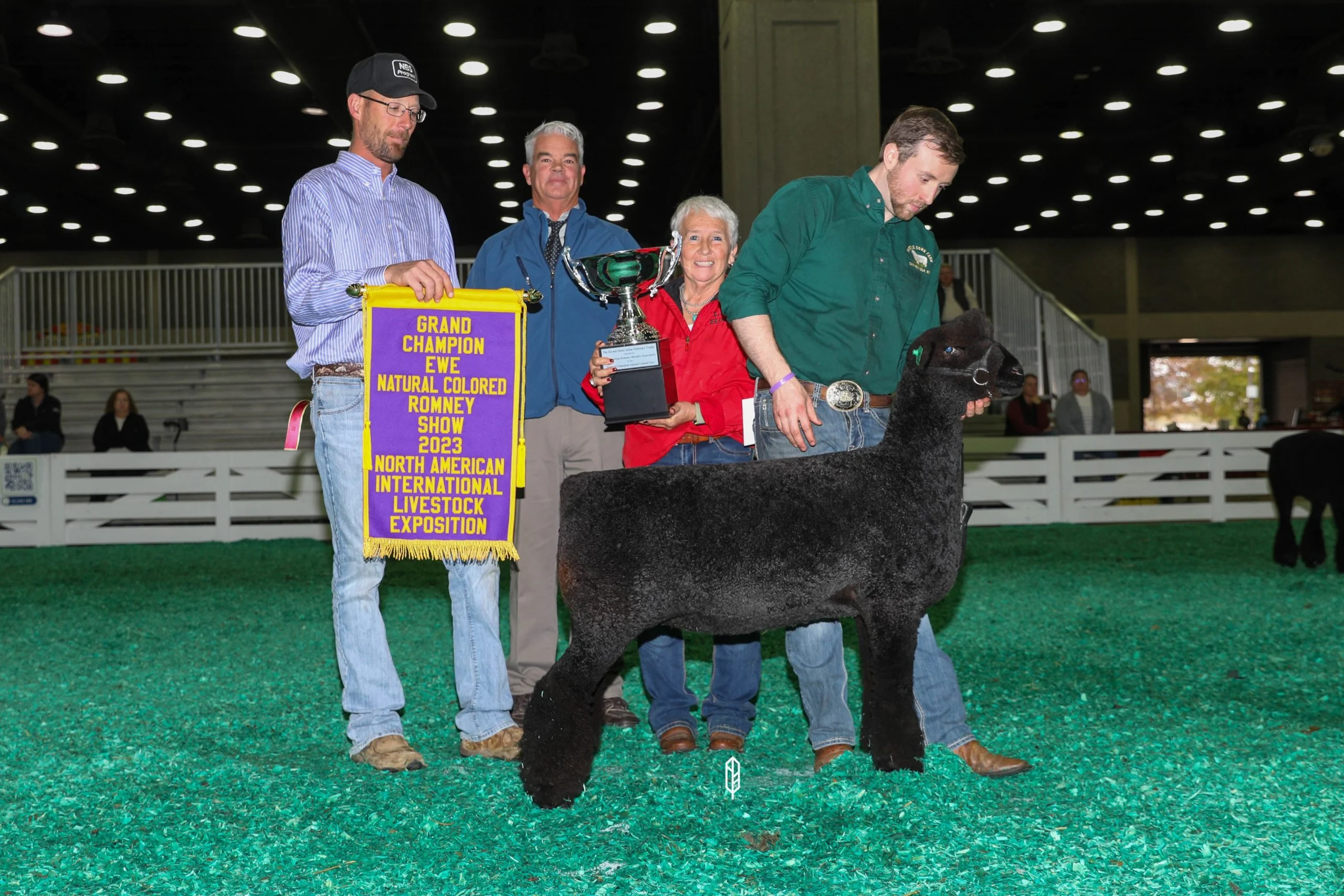 2023 National Natural Colored Romney Show at NAILE
National Champion Natural Colored Ewe exhibited by Ethan Kennedy of Thistle Down Farm