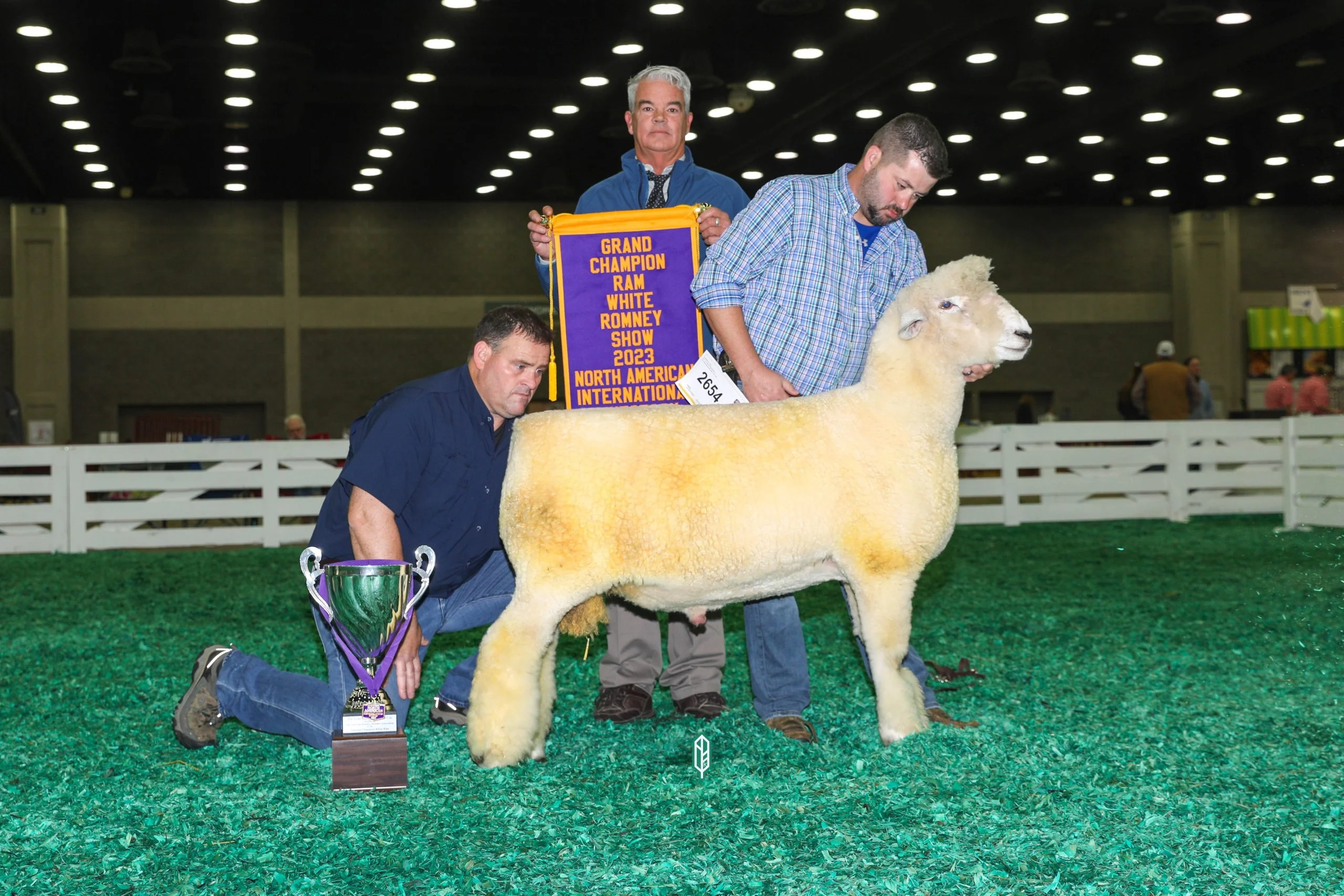 2023 National White Romney Show at NAILE
National Champion White Ram exhibited by Claire Von Behrens