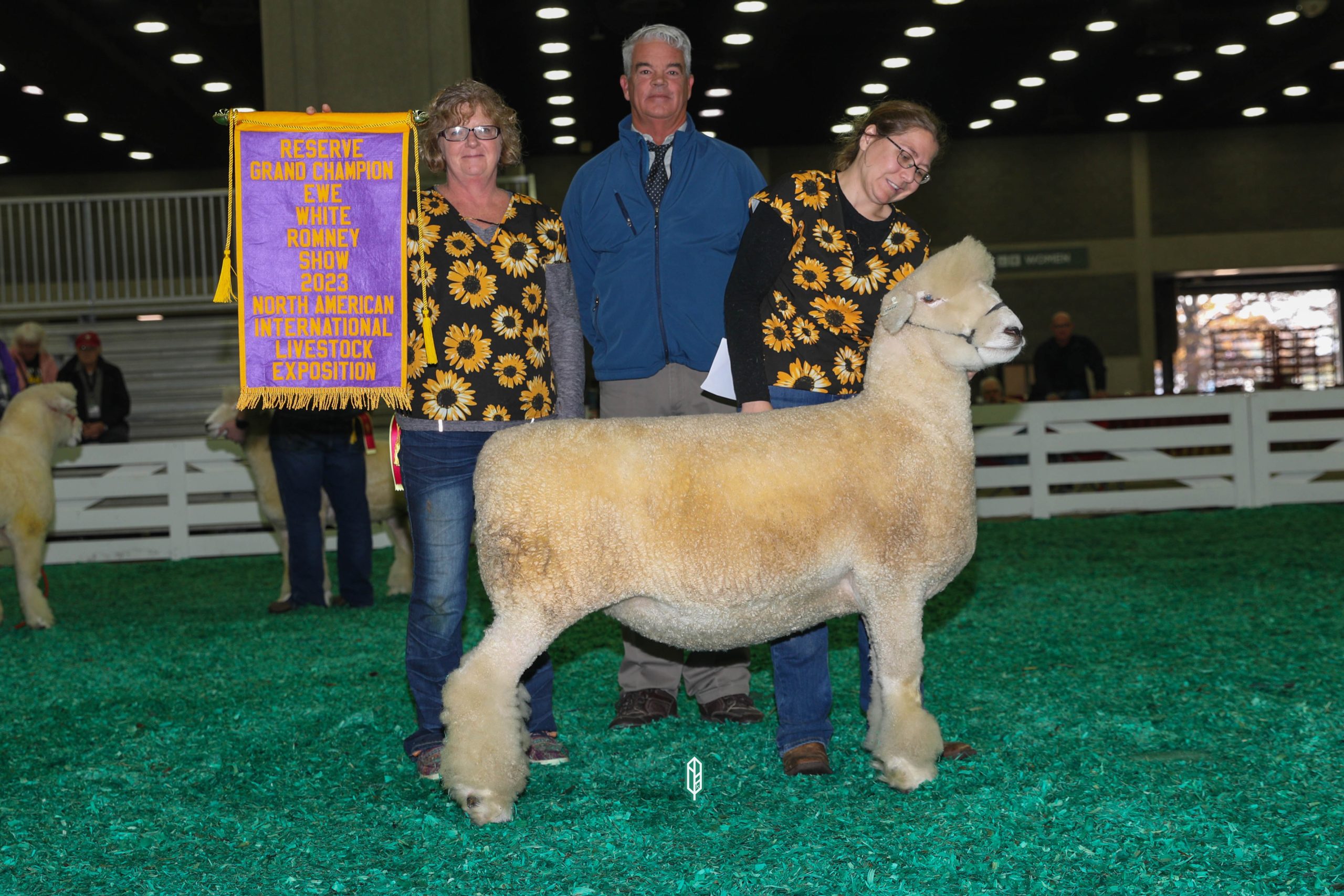2023 National White Romney Show at NAILE
Reserve Champion White Ewe exhibited by Emma Rogers