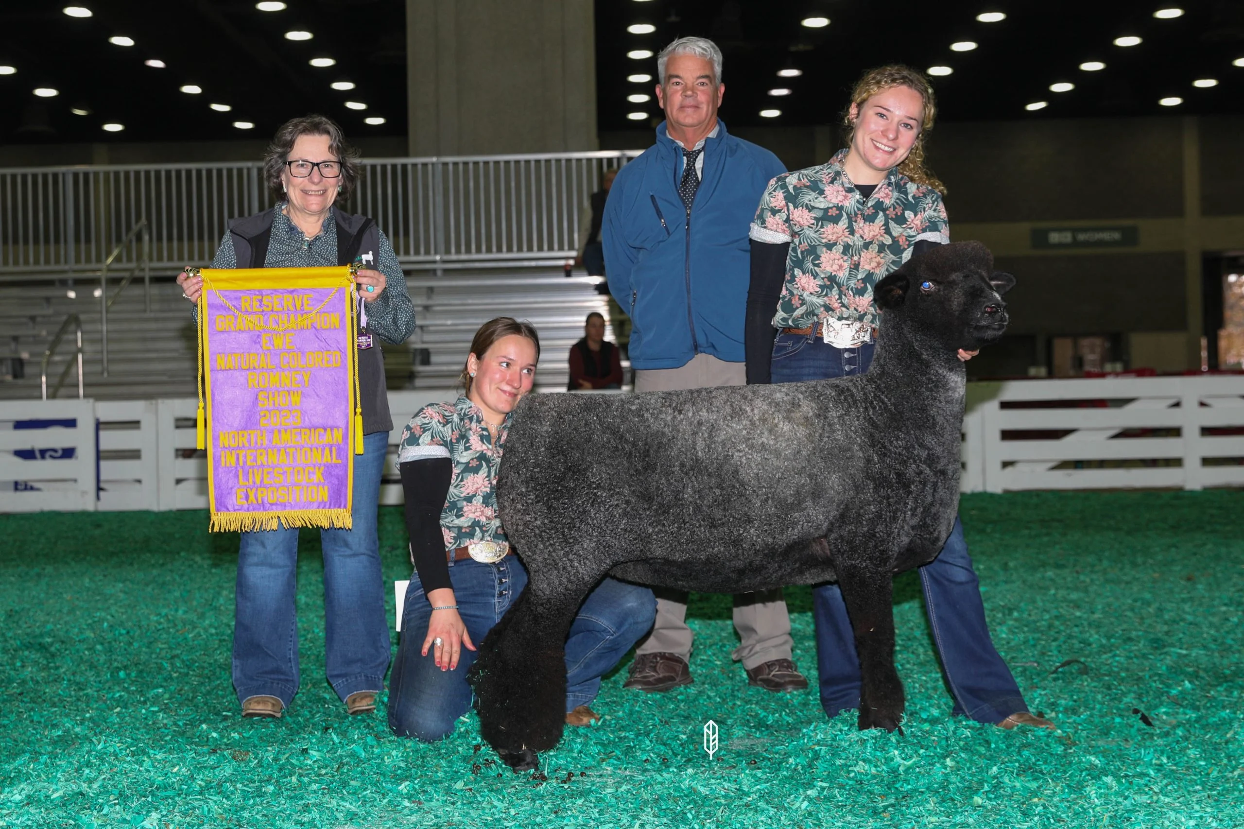 2023 National Natural Colored Romney Show at NAILE
National Champion Natural Colored Ewe exhibited by Teresa Hromis of Winding Wicks Farm