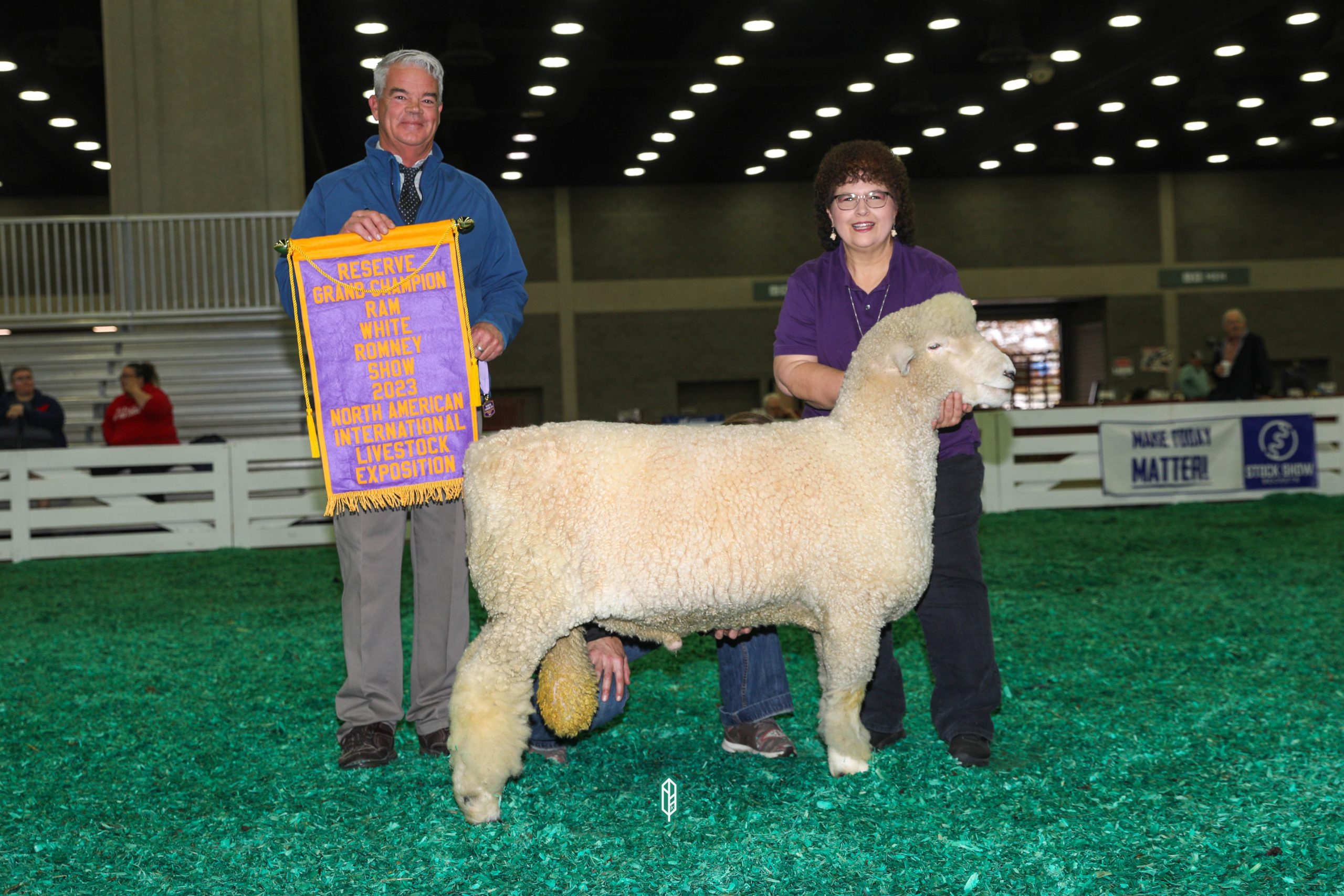 2023 National White Romney Show at NAILE
Reserve National Champion White Ram exhibited by Sue Kalina of Kalina Family