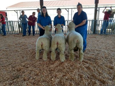 2015 National Romney Show Clark County Fair